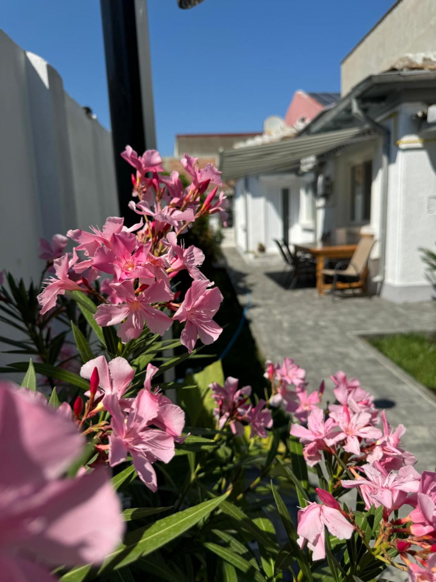 Nord 22 Villa Констанца Екстериор снимка